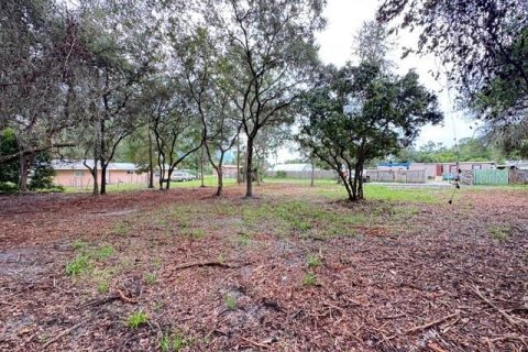 Land in Paisley, Florida № 2386241