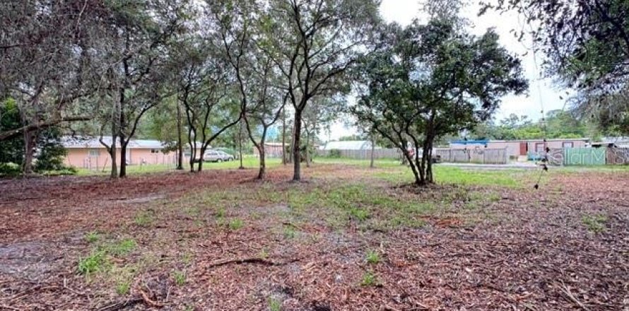 Land in Paisley, Florida № 2386241