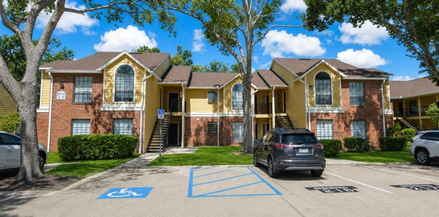Condo in Tampa, Florida, 1 bedroom  № 2235482