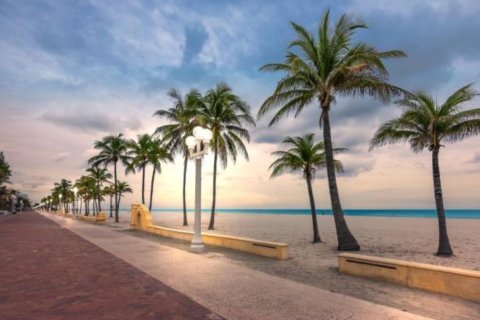 Appartement à louer à Hollywood, Floride: 1 chambre, 39.02 m2 № 2250659 - photo 12