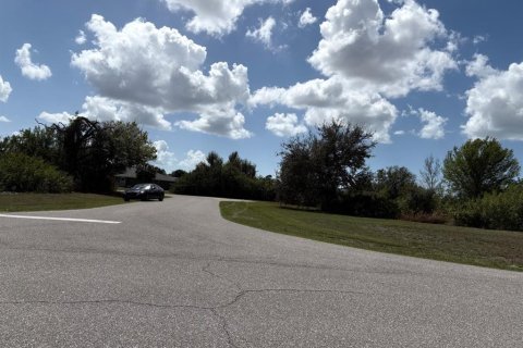 Land in Rotonda, Florida № 2211792 - photo 5