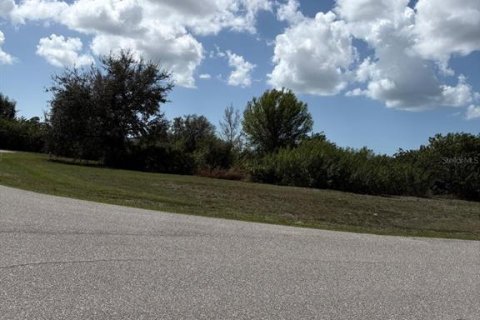 Land in Rotonda, Florida № 2211792 - photo 3