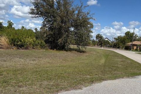 Land in Rotonda, Florida № 2211792 - photo 10