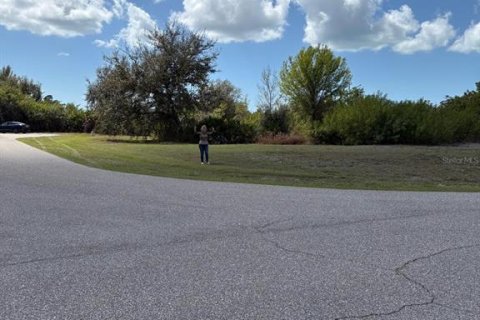 Land in Rotonda, Florida № 2211792 - photo 9