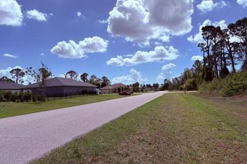 Land in Rotonda, Florida № 2211792 - photo 11