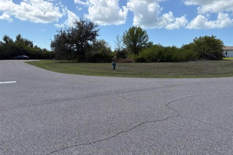 Land in Rotonda, Florida № 2211792 - photo 8