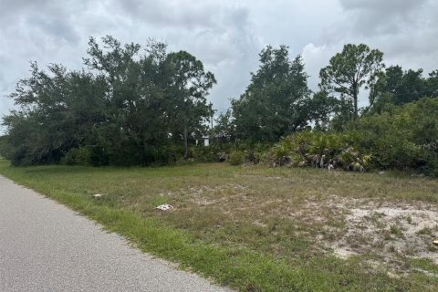 Terrain à Placida, Floride № 2163862