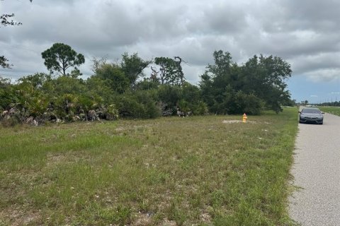 Terrain à vendre à Placida, Floride № 2163862 - photo 2