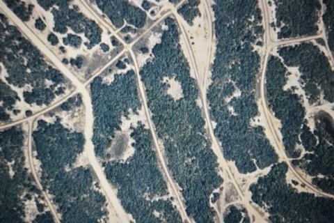 Land in Lake Placid, Florida № 2163025