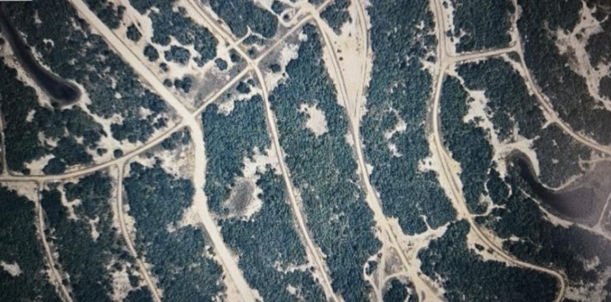 Land in Lake Placid, Florida № 2163025