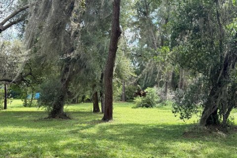 House in Dade City, Florida 3 bedrooms, 107.02 sq.m. № 1918574 - photo 17