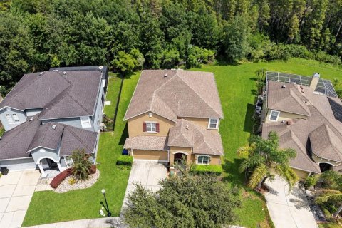 House in Wesley Chapel, Florida 6 bedrooms, 313.64 sq.m. № 2342049 - photo 6