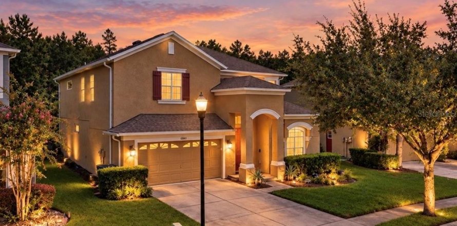 House in Wesley Chapel, Florida 6 bedrooms, 313.64 sq.m. № 2342049