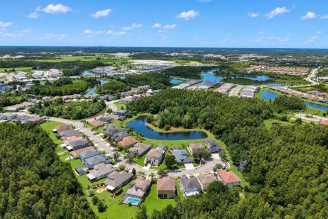 House in Wesley Chapel, Florida 6 bedrooms, 313.64 sq.m. № 2342049 - photo 11