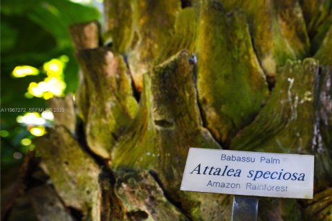 Купить виллу или дом в Майами, Флорида 6 спален, 490.52м2, № 2028575 - фото 21