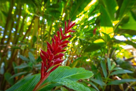 Купить виллу или дом в Майами, Флорида 6 спален, 490.52м2, № 2028575 - фото 22