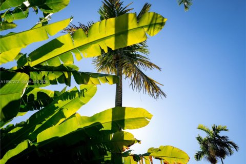 Купить виллу или дом в Майами, Флорида 6 спален, 490.52м2, № 2028575 - фото 23