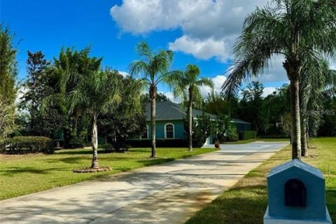Villa ou maison à louer à Lutz, Floride: 6 chambres, 416.57 m2 № 2109448 - photo 4