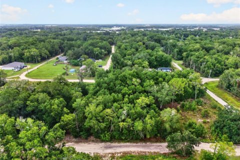 Land in Ocala, Florida № 2354886