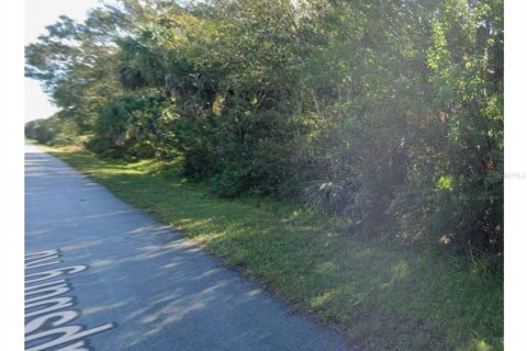 Land in Punta Gorda, Florida № 2163131