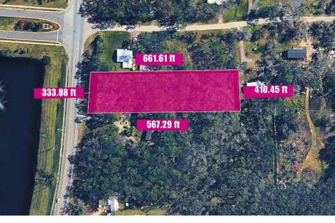 Land in Valrico, Florida № 2377842 - photo 3
