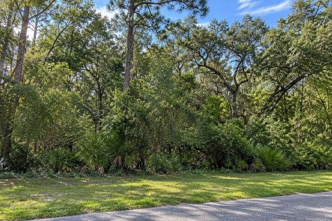 Land in Valrico, Florida № 2377842 - photo 2