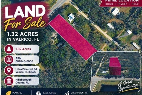 Land in Valrico, Florida № 2377842 - photo 6