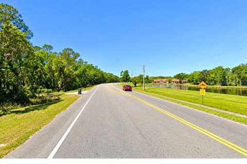 Land in Valrico, Florida № 2377842 - photo 12