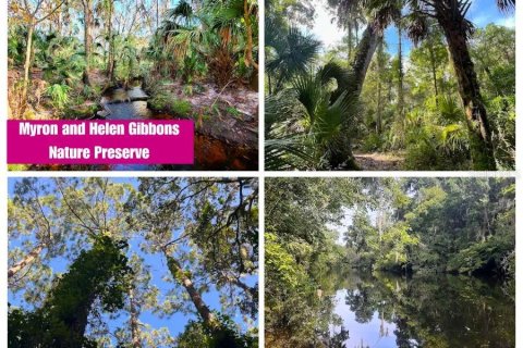 Land in Valrico, Florida № 2377842 - photo 5