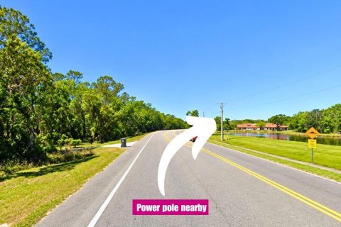 Land in Valrico, Florida № 2377842 - photo 7
