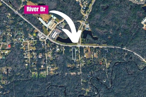 Land in Valrico, Florida № 2377842 - photo 10