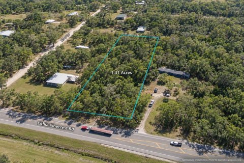 Land in Valrico, Florida № 2377842 - photo 9