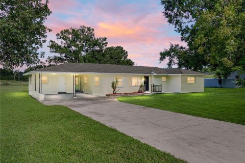 Villa ou maison à vendre à Lakeland, Floride: 3 chambres, 165.09 m2 № 1894296 - photo 1