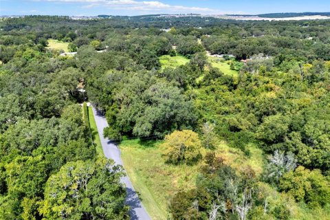 Land in Clermont, Florida № 1900813 - photo 21