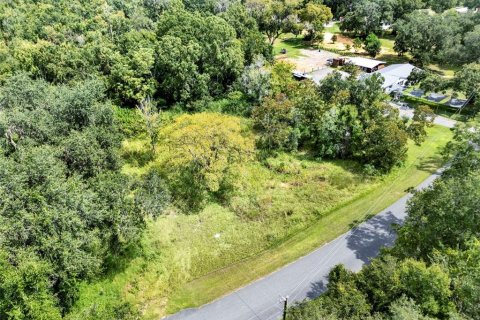 Land in Clermont, Florida № 1900813 - photo 19
