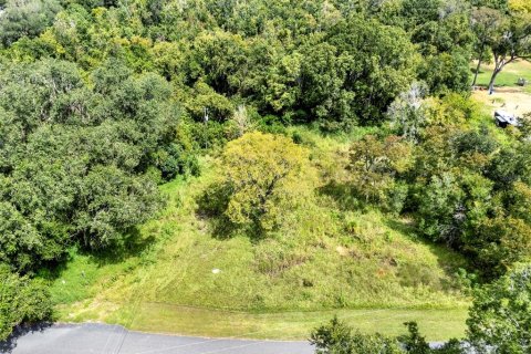 Land in Clermont, Florida № 1900813 - photo 18