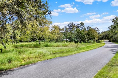 Land in Clermont, Florida № 1900813 - photo 1