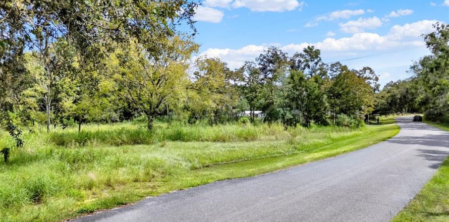 Land in Clermont, Florida № 1900813