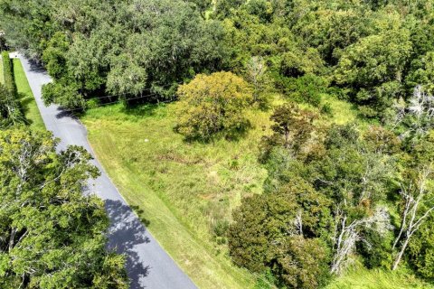 Land in Clermont, Florida № 1900813 - photo 22
