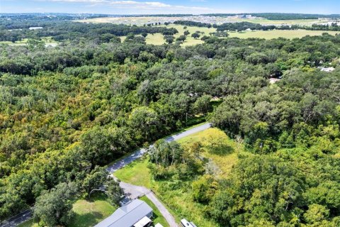 Land in Clermont, Florida № 1900813 - photo 15