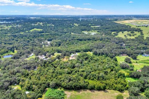 Land in Clermont, Florida № 1900813 - photo 10