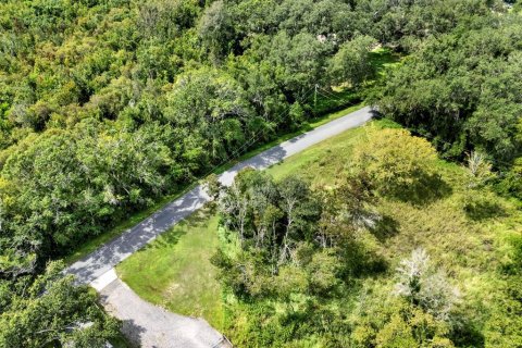 Land in Clermont, Florida № 1900813 - photo 14