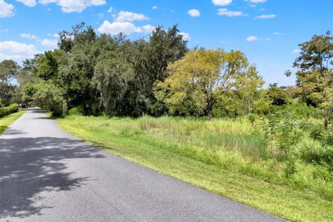 Land in Clermont, Florida № 1900813 - photo 2