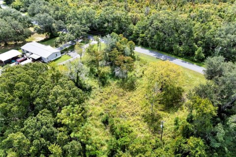 Land in Clermont, Florida № 1900813 - photo 7