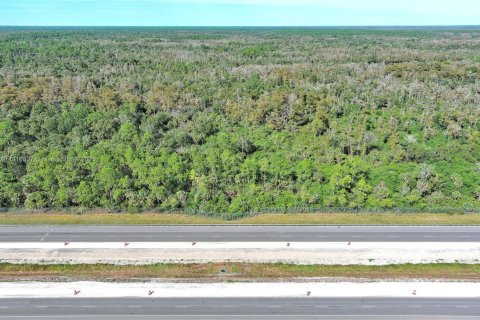 Terreno en Naples, Florida № 2016692