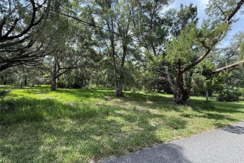 Terreno en venta en Homosassa, Florida № 1907916 - foto 3