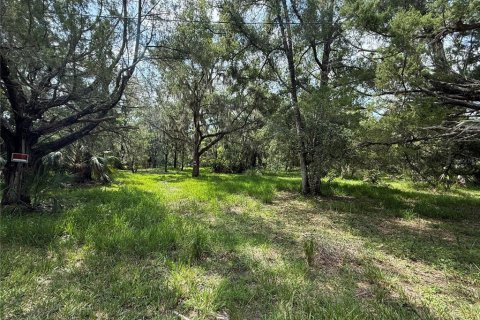 Terreno en venta en Homosassa, Florida № 1907916 - foto 2