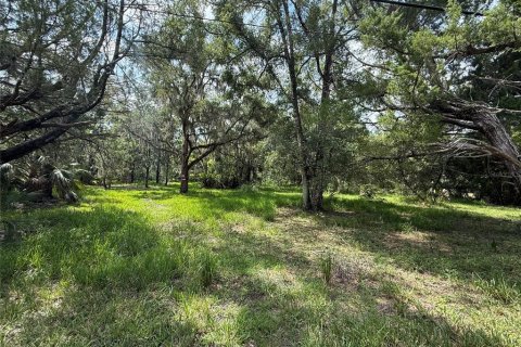 Terreno en venta en Homosassa, Florida № 1907916 - foto 1