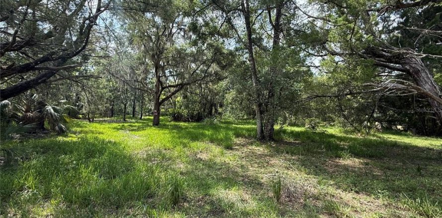 Terrain à Homosassa, Floride № 1907916