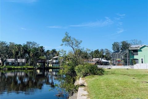 Land in Port Orange, Florida № 1429553 - photo 3